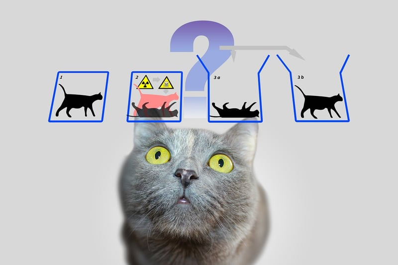 Quantum Conundrums